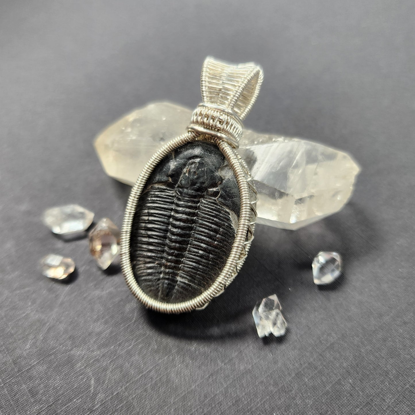 Fossil Trilobite Sterling Silver Pendant